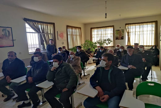 کشاورزان تاکستانی با روش‌های نوین کشت حبوبات دیم آشنا شدند