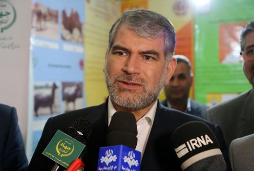 سازمان تات متولی اجرای الگوی کشت در کشور است/ راه اندازی 7 دهکده نوآوری در سال جاری 