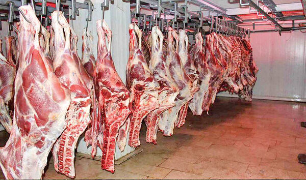 گرانی نهاده‌ها سبب افزایش قیمت گوشت در بجنورد شد