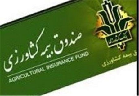 افزایش پوشش بیمه‌ای محصولات کشاورزی درسال زراعی جدید