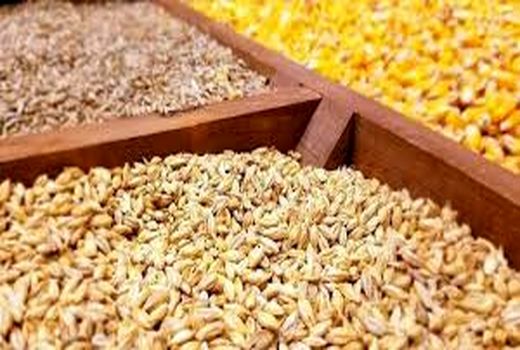 نقش موثر شرکت‌های تعاون روستایی در توزیع نهاده‌های تولید بخش کشاورزی 