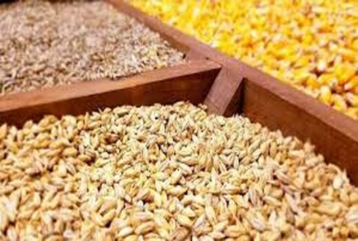 نقش موثر شرکت‌های تعاون روستایی در توزیع نهاده‌های تولید بخش کشاورزی 