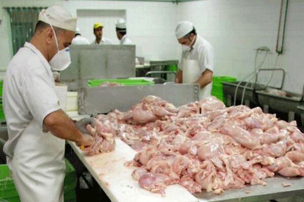ممنوعیت قطعه بندی گوشت مرغ و ماهی در واحدهای صنفی