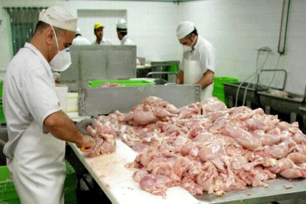 ممنوعیت قطعه بندی گوشت مرغ و ماهی در واحدهای صنفی