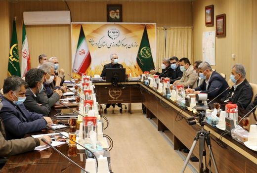 تولید 332هزار تن سیب زمینی در کردستان تولید شد