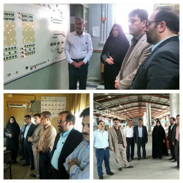 50 هزار تن گندم مازاد خریداری شد