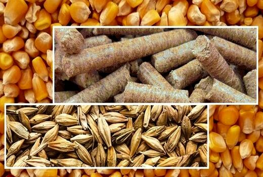 اجرای طرح تضمین کیفیت فرآورده های خام دامی و خوراک دام در دامپزشکی آذربایجان غربی 

