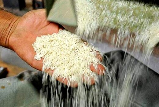 تولید ۲.۶ میلیون تن برنج طی سال جاری/ ترخیص برنج از گمرکات از سر گرفته شد