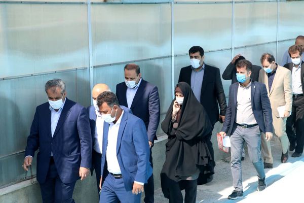 بازدید استاندار قزوین از واحد گلخانه تولید توت فرنگی در شهرستان تاکستان