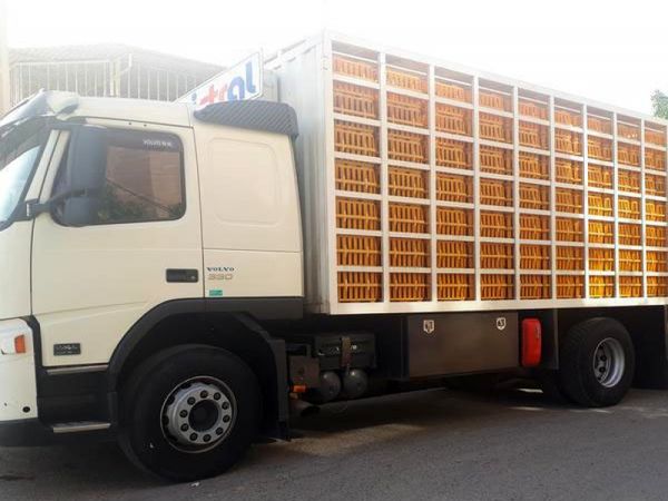 حمل هرگونه مرغ گرم بدون پلمب ویژه در استان قزوین ممنوع است