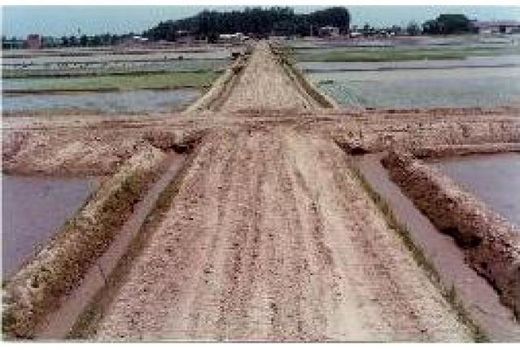 25 هکتار از شالیزارهای گلوگاه تجهیز و نوسازی می‌شود