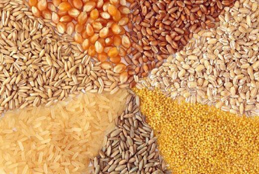 مکانیزم دریافت نهاده به تولیدکنندگان به خوبی اطلاع‌رسانی شود