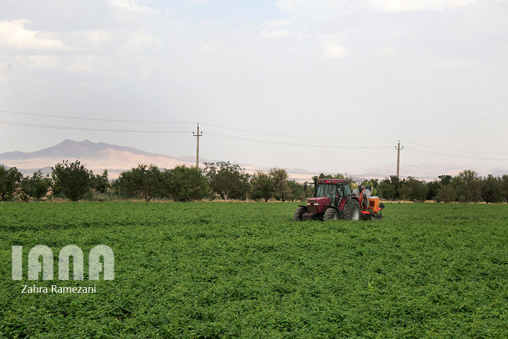 خلاقیت کشاورز خمین برای صرفه جویی آب