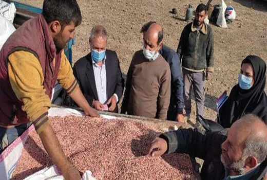 آغاز عملیات اجرایی طرح جهش تولید دیم زارها در ۵۰۳۰ هکتار  از اراضی شهرستان مرند