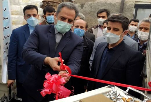 افتتاح گلخانه ۵ هزار متر مربعی در شهرستان کرمانشاه توسط وزیر جهاد کشاورزی 