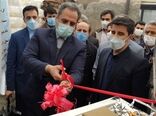 افتتاح گلخانه ۵ هزار متر مربعی در شهرستان کرمانشاه توسط وزیر جهاد کشاورزی 