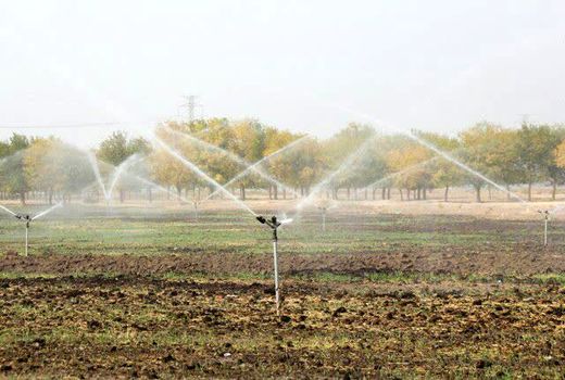 تأمین و توزیع 1475  تن انواع کودهای یارانه‌ای در استان البرز