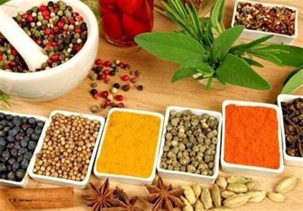 صنایع تبدیلی حلقه‌ اصلی تکمیل زنجیره تولیدات کشاورزی است