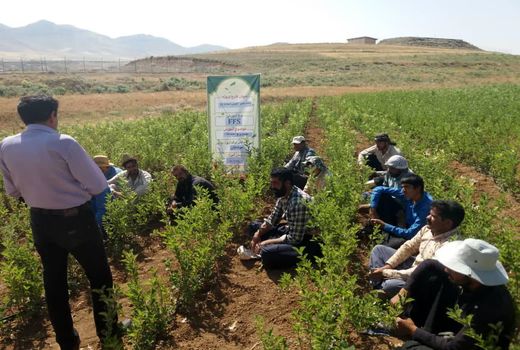 برگزاری چهارمین مرحله آموزش باغداران طرح بزرگ سودجان