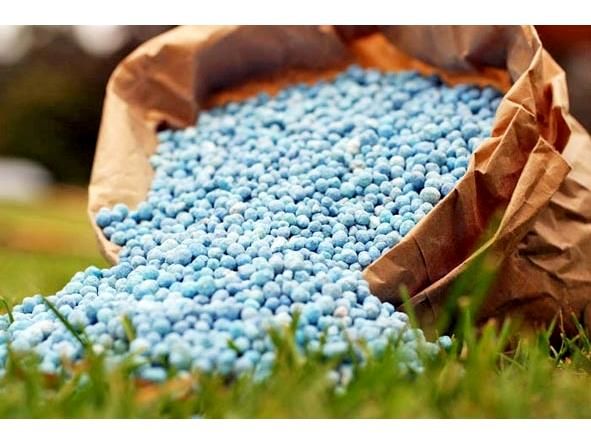 بیش از 3800 تن انواع کود شیمیایی در شهرستان سلماس توزیع شد