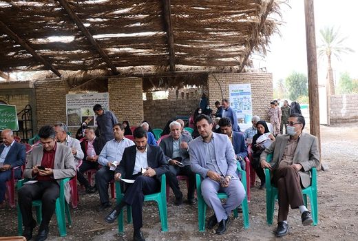 سرخرطومی حنایی در کمین نخلستان های کرمان