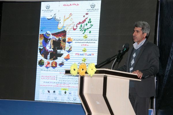 تولید سالانه ۱۷۰ کیلو ژل رویال در لرستان