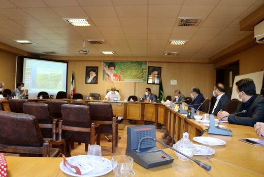  155هزار تن گندم با عملکرد چهارو نیم تن در هکتار تولید می شود