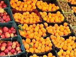 توزیع میوه شب عید اصفهان از هفته آینده