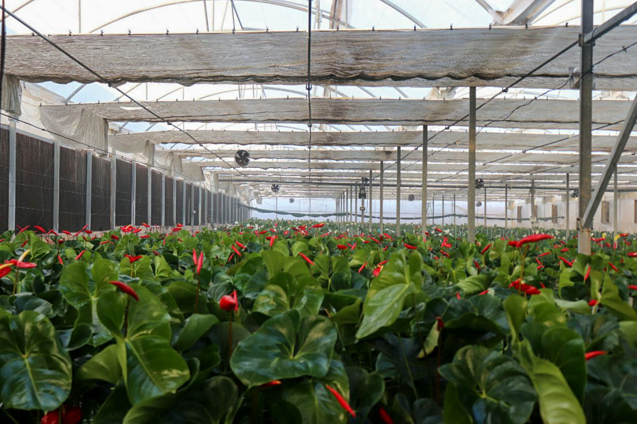 سفر حجتی به استان سمنان