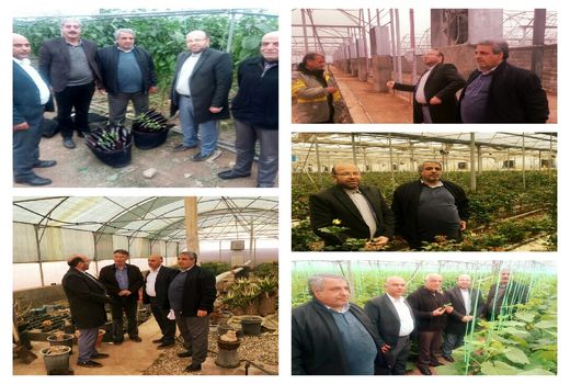 بازدید یک روزه بهره برداران بخش کشاورزی پردیس از گلخانه های ورامین و پیشوا 