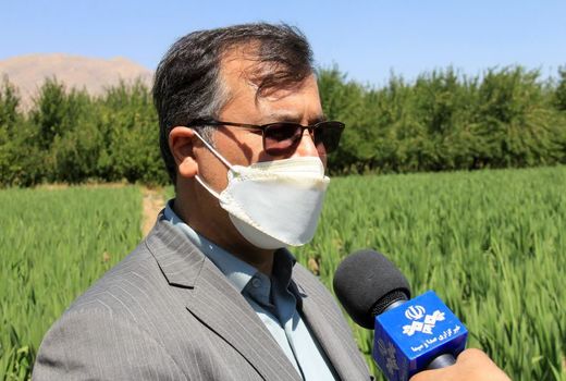 خشکسالی 3 هزار میلیارد تومان به بخش کشاورزی خسارت وارد کرد 