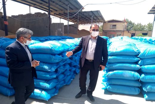 تولید ۲۶ هزار تن بذر گندم آبی و دیم در استان لرستان