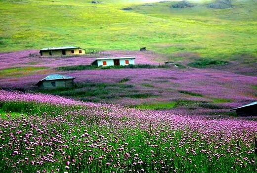 هشدار به مسافران نوروزی: با مراتع مهربان باشیم!