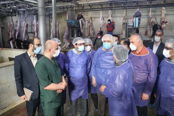 استاندار قزوین از شرکت مهر گستر سیمرغ زیاران بازدید کرد