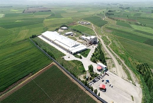 بهره‌برداری از واحد جوجه‌کشی 48 میلیون قطعه‌ای آرتا جوجه سبلان با حمایت بانک کشاورزی