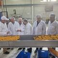 بازدید میدانی رئیس سازمان شیلات از واحدهای فرآوری البرز در راستای رفع موانع تولید