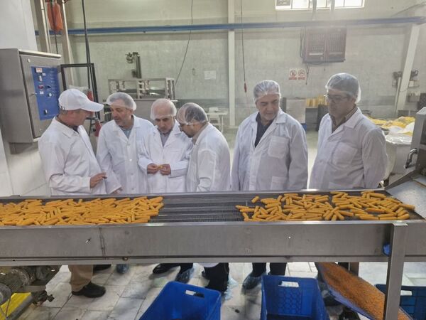 بازدید میدانی رئیس سازمان شیلات از واحدهای فرآوری البرز در راستای رفع موانع تولید