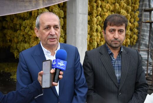 بناب، هاب صادراتی کشمش کشور؛ تولید ۳۴۰ هزار تن انگور در آذربایجان شرقی