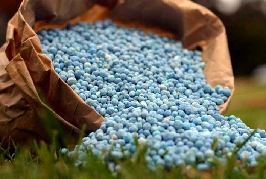 کیفیت کودهای یارانه‌ای خط قرمز شرکت خدمات حمایتی کشاورزی