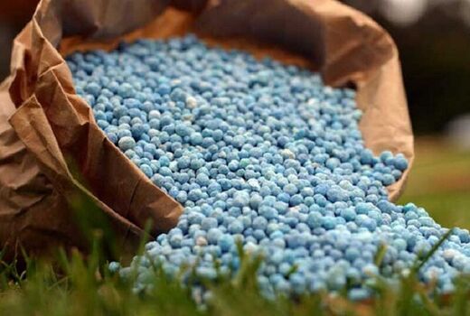 کیفیت کودهای یارانه‌ای خط قرمز شرکت خدمات حمایتی کشاورزی