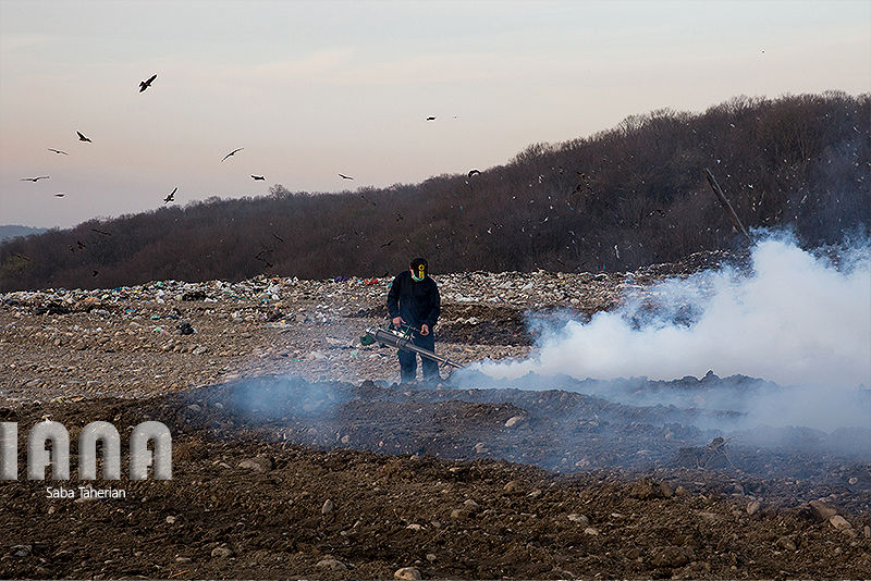 زباله دانی به وسعت یک جنگل