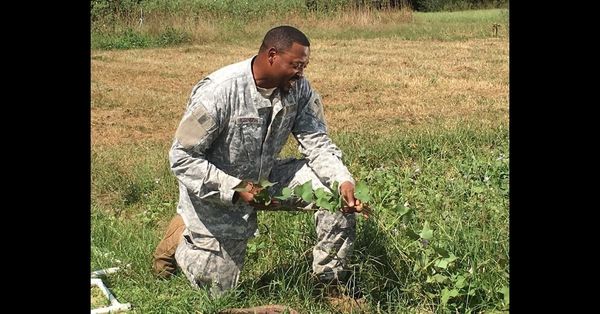کشاوزی٬ شغل دوم کهنه‌سربازان