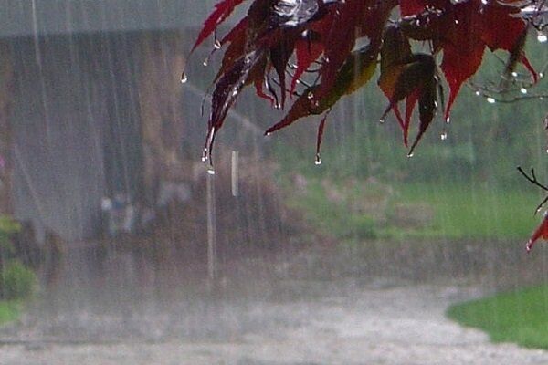 افزایش 158 درصدی بارندگی‌ پاییزه