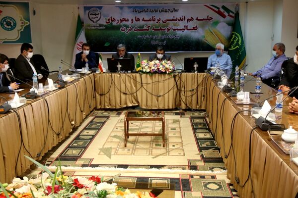 اهمیت تولید ذرت در امنیت غذایی کشور