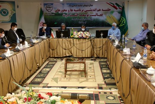 اهمیت تولید ذرت در امنیت غذایی کشور