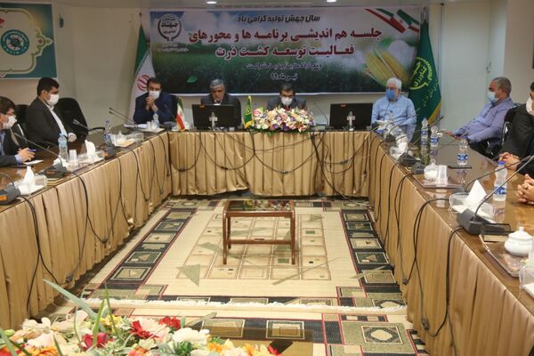 اهمیت تولید ذرت در امنیت غذایی کشور