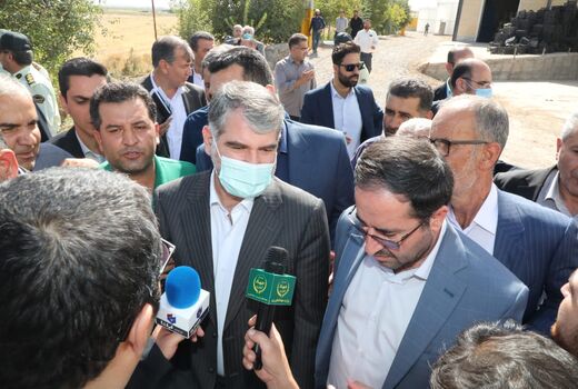 شیوه نامه صادرات دام زنده شنبه ابلاغ می‌شود