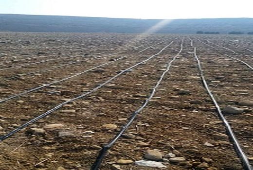 طرح های فنی زیربنایی مُهر با 55 میلیارد ریال  اعتبار اجرا شد