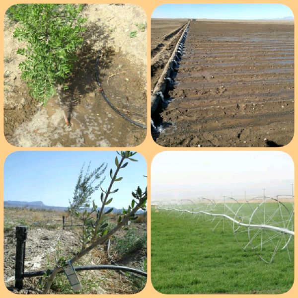 تجهیز بیش از ۴۰۰۰ هکتار از اراضی سربیشه به سیستم های نوین آبیاری