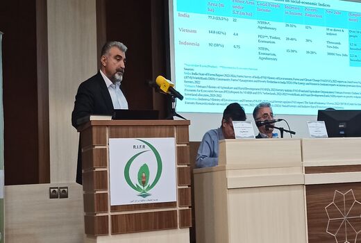 جنگل‌های زاگرس بر اساس نیاز جامعه محلی مدیریت شود
